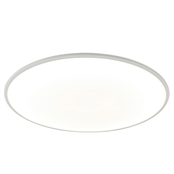 Потолочный светильник SLIM 7970