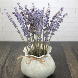 ваза керамическая Terra design TDVFSK04