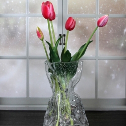 Ваза стеклянная для цветов и сухоцветов Terra Design TDVLA02