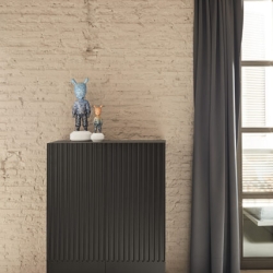 Шкаф с полками Doric 2D2Dr черный