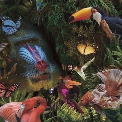 Фотография Selvatica 100x100 см