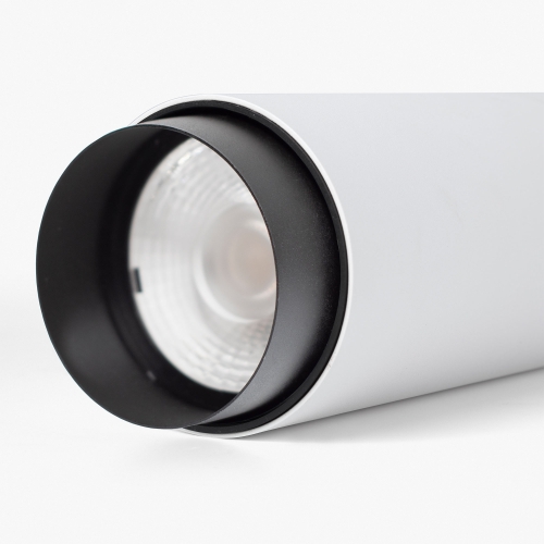 FOST long snoot Ш70