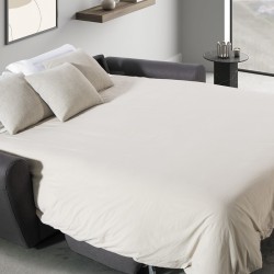 Диван-кровать Club 222