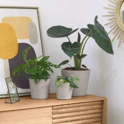 Набор из 3-х кашпо Lux цементно-серого цвета