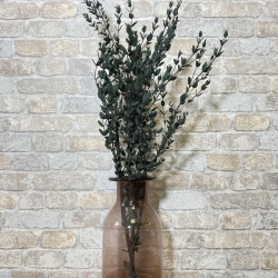 Ваза для цветов стеклянная прозрачная Terra Design TDV528802