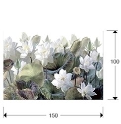 Фотография Nenufares 150x100 см