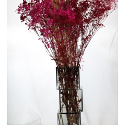 Ваза для цветов и сухоцветов стекло Terra Design TDVDG2502