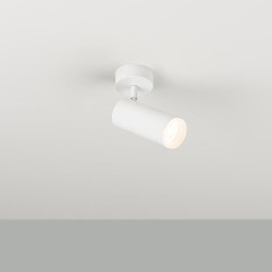 Светильник регулируемый Haul 55 AC C/W белый