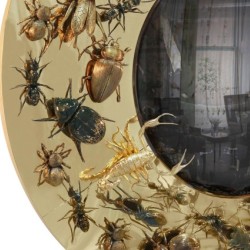 Зеркало Convex Metamorphosis