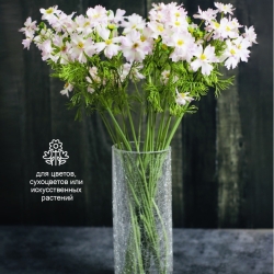 Ваза Terra Design TDV102501