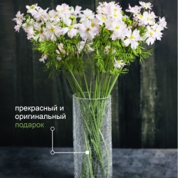 Ваза Terra Design TDV102501