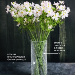 Ваза Terra Design TDV102501