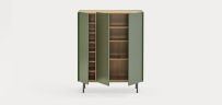 Шкаф Arista 3D зеленый