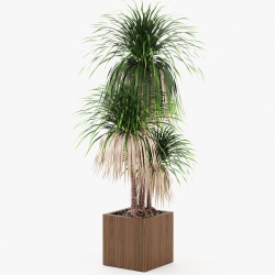 Цветочный горшок Stela 40