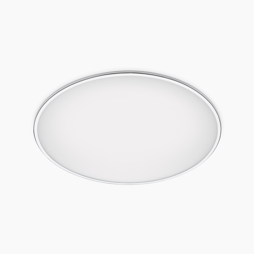 Потолочный светильник Big 2L 0531