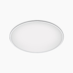 Потолочный светильник Big 2L 0531