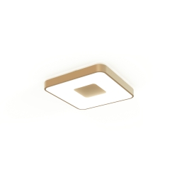 Потолочный светильник COIN 7926