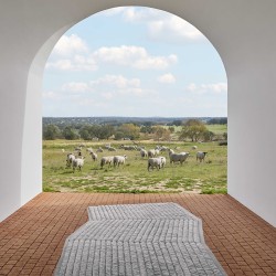 Ковер Lines Grey