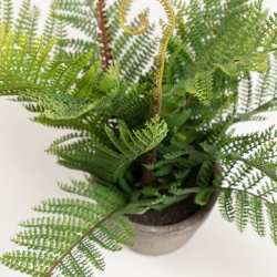 Flower Искусственный папоротник в горшке из цемента 35см