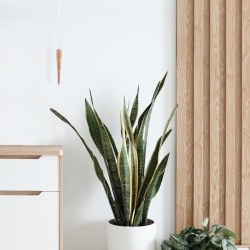 Часы Nomon Punta (основа - белый полистирол/стрелки и маятник - дуб). D=28см, H=63см