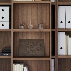 Модульный стеллаж Literatura Classic