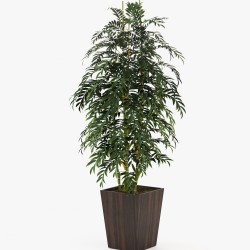 Цветочный горшок Poppy 50