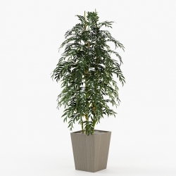 Цветочный горшок Poppy 50