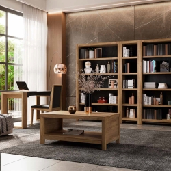 Письменный стол EC020