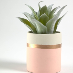 Flower Агава в розовом керамическом горшке