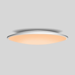 Потолочный светильник SLIM 7975