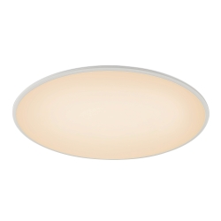 Потолочный светильник SLIM 7975