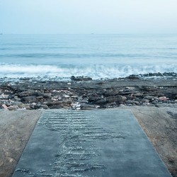 Ковер Landscape Brazil