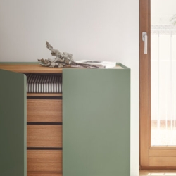 Сервант Arista 3D3Dr зеленый