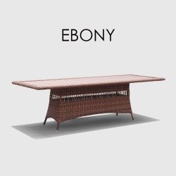 Обеденный стол Ebony RED PULUT 300х100