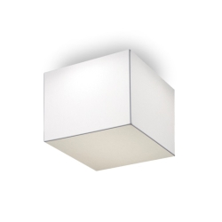 Потолочный светильник Block 20010/30