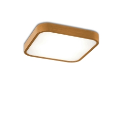 Потолочный светильник Nature 20017/40