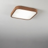 Потолочный светильник Nature 20017/40