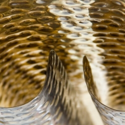 Подвесной светильник Vellum