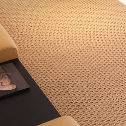 Ковер Palma PL06 250x300