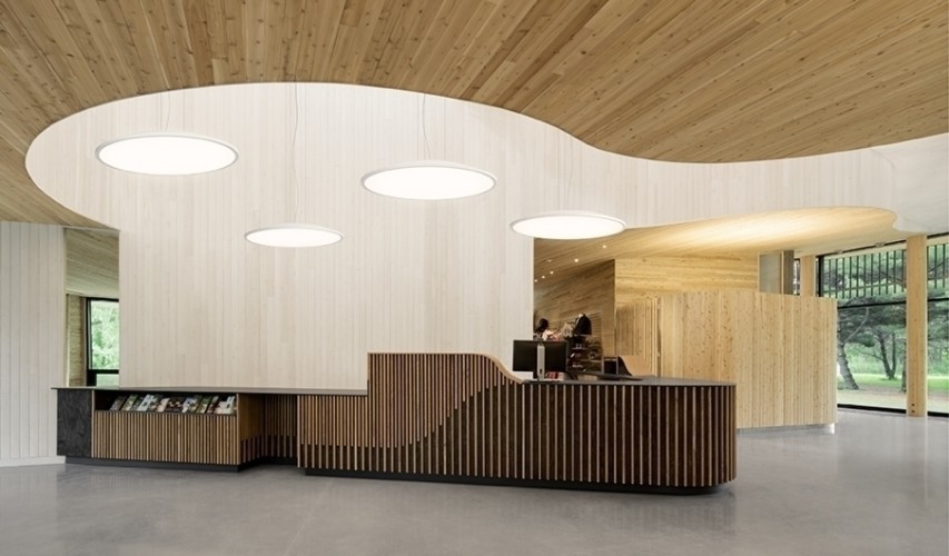 Подвесной светильник Big 0538 1-10V