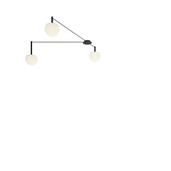 Потолочный светильник Circ CIR_R12R2S1M/CIR_R30S2S1M