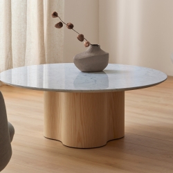 Кофейный столик ST-03