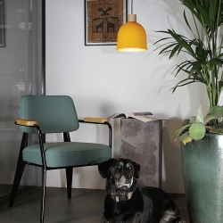 Люстра Ons Mimosa