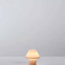 Настольная лампа PETRA M PE