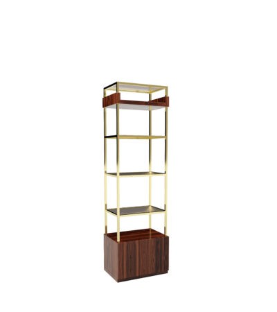 Модуль Weston JWT212C