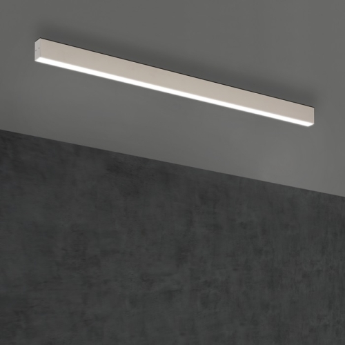 Светильник потолочный TI-ZAS 100 СМ