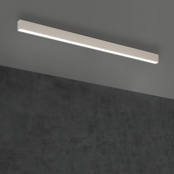 Светильник потолочный TI-ZAS 100 СМ