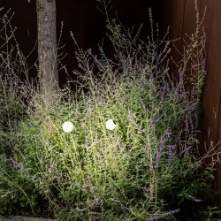 Ландшафтный светильник CUCA 650 черный LED 3W 2700K 24V