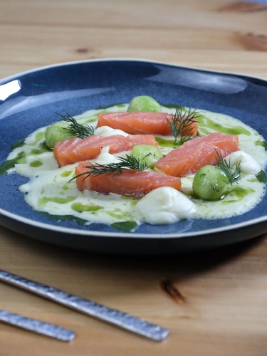 Тарелка обеденная для второго Terra Design TKPlatoB7103