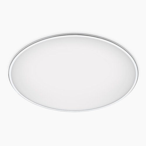 Потолочный светильник Big 2L 0530